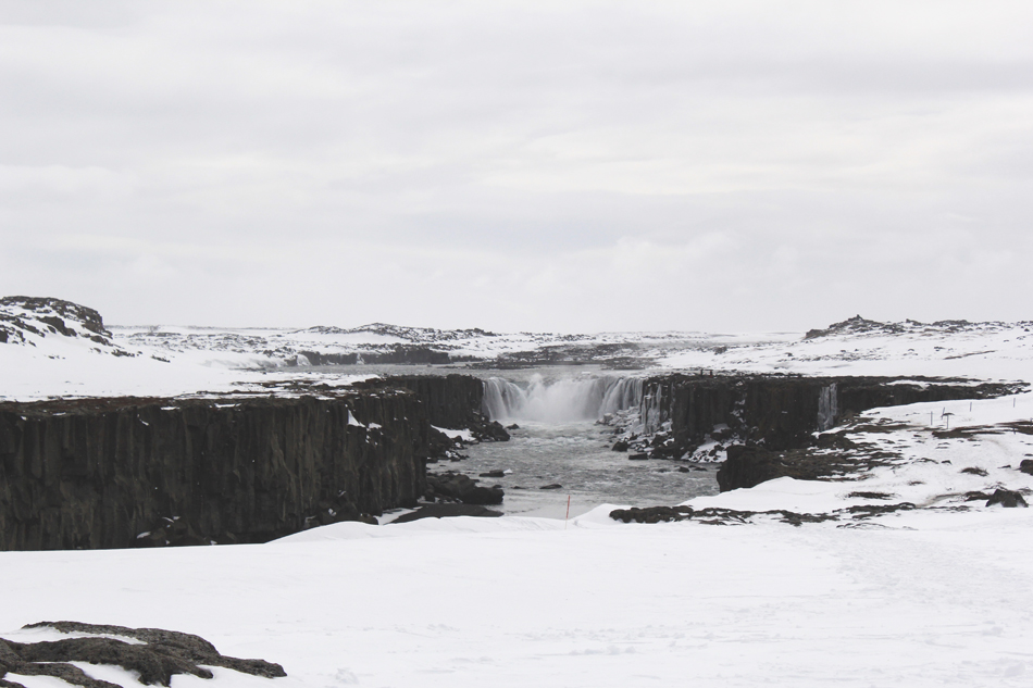 Voyage en Islande : les fjords de l'est et Myvatn